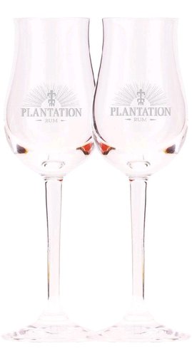 Plantation sklenice  1ks